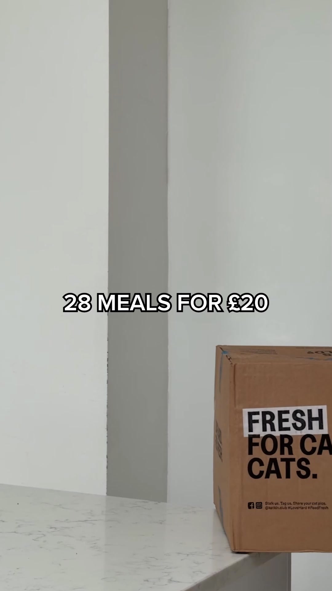 Get 28 Fresh Meals For £20