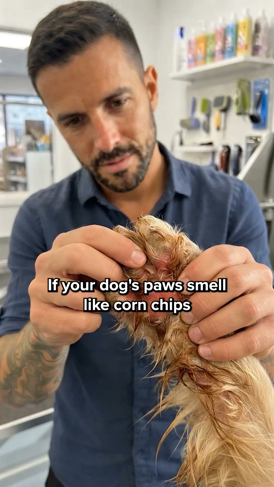 Vets Love It. Dogs Love It. Owners Trust It.