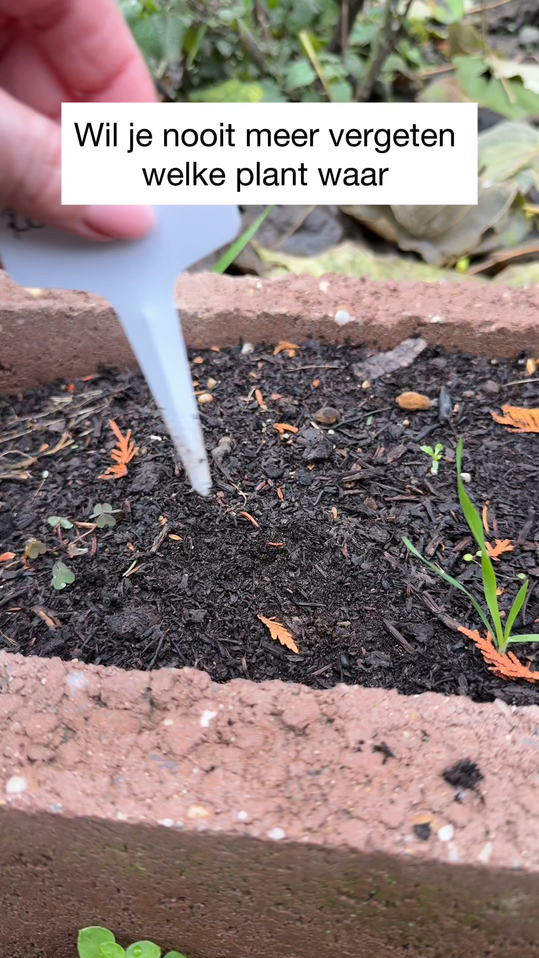 Planten labels