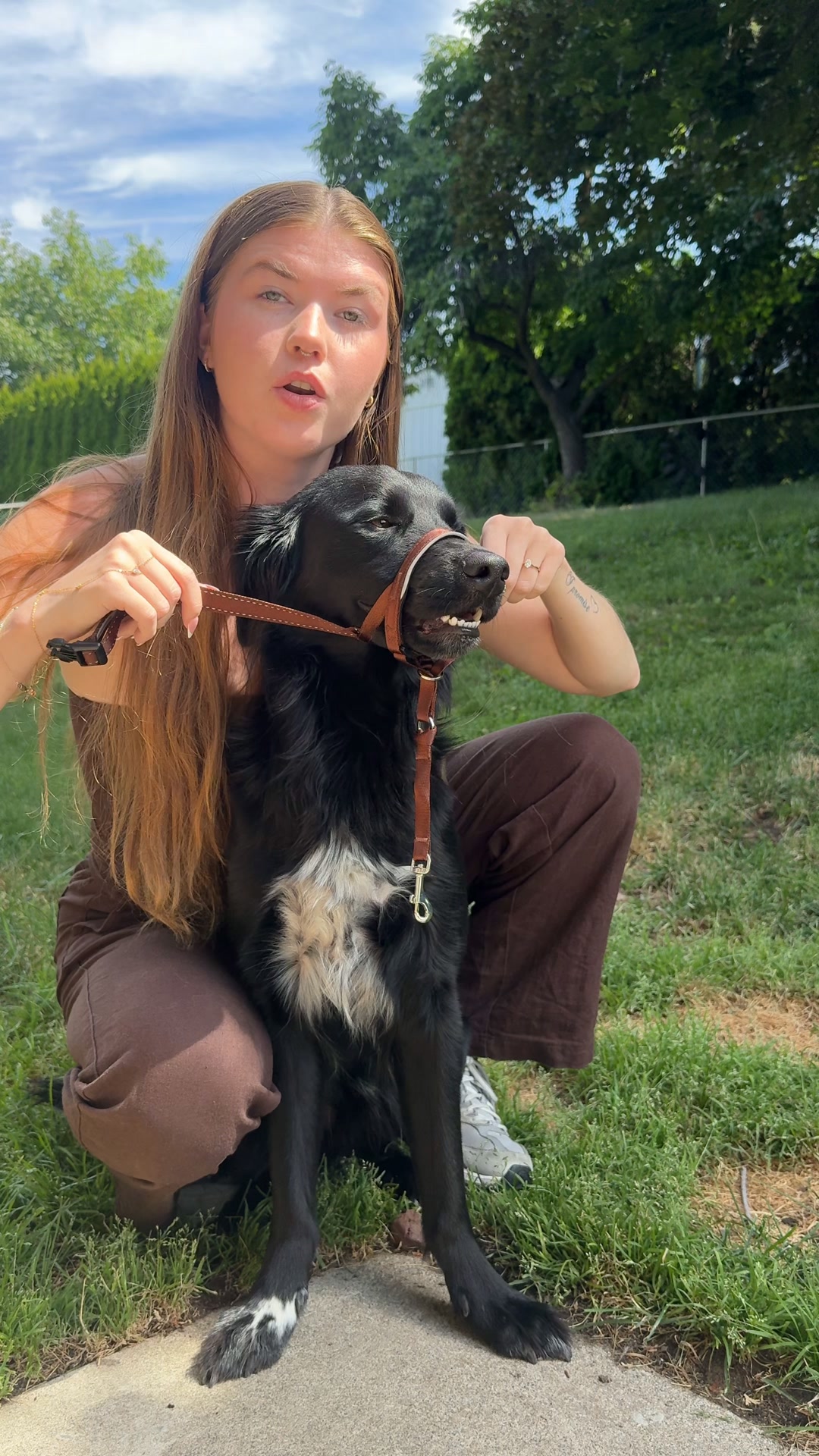 Rated #1 By Dog Owners
