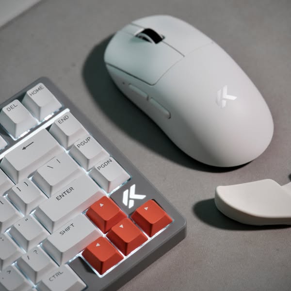 Moon Rock Gray — Classic, Calm & Elegant