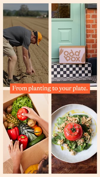 From crop to kitchen.