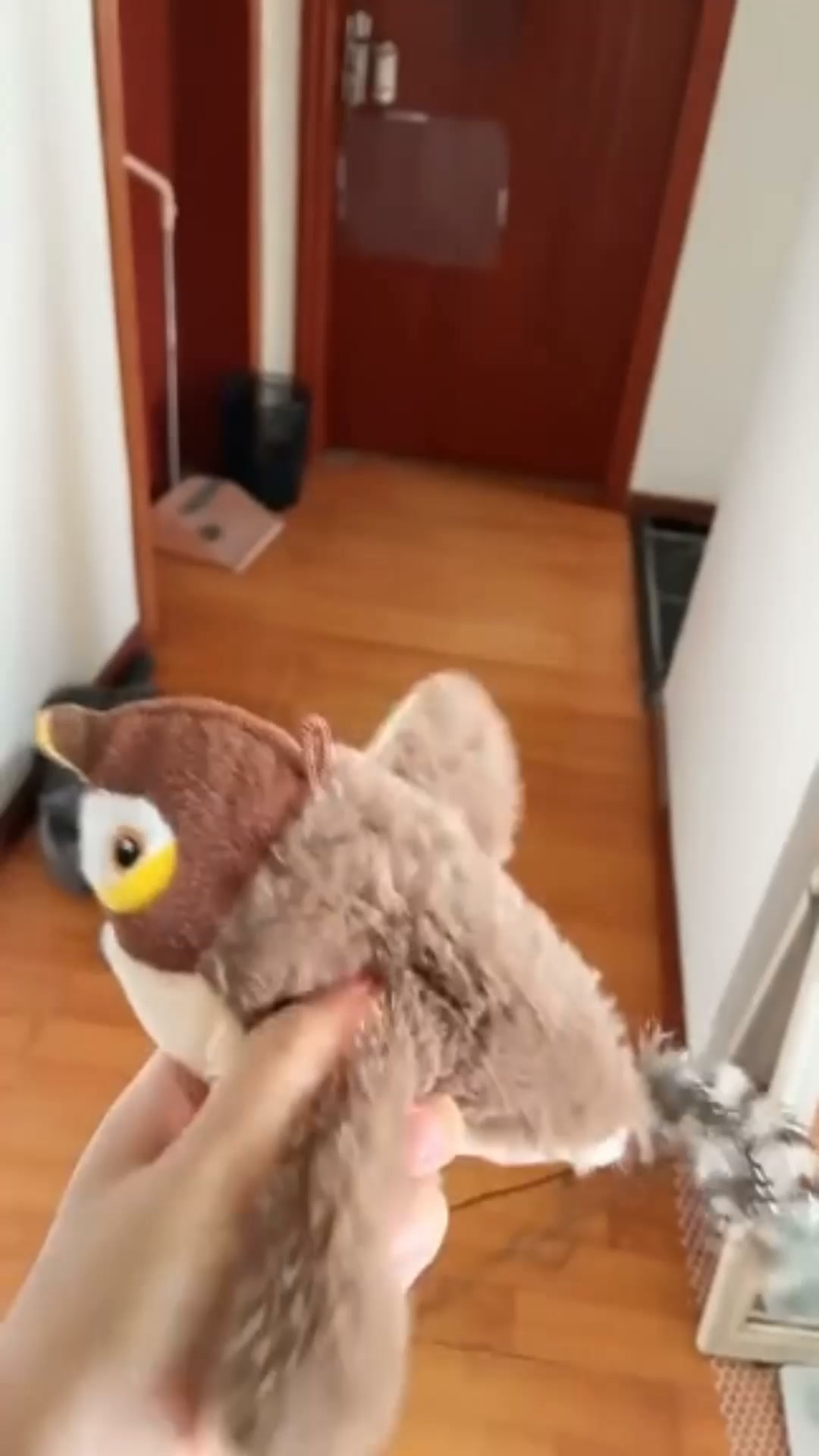 Anti-verveling voor je kat