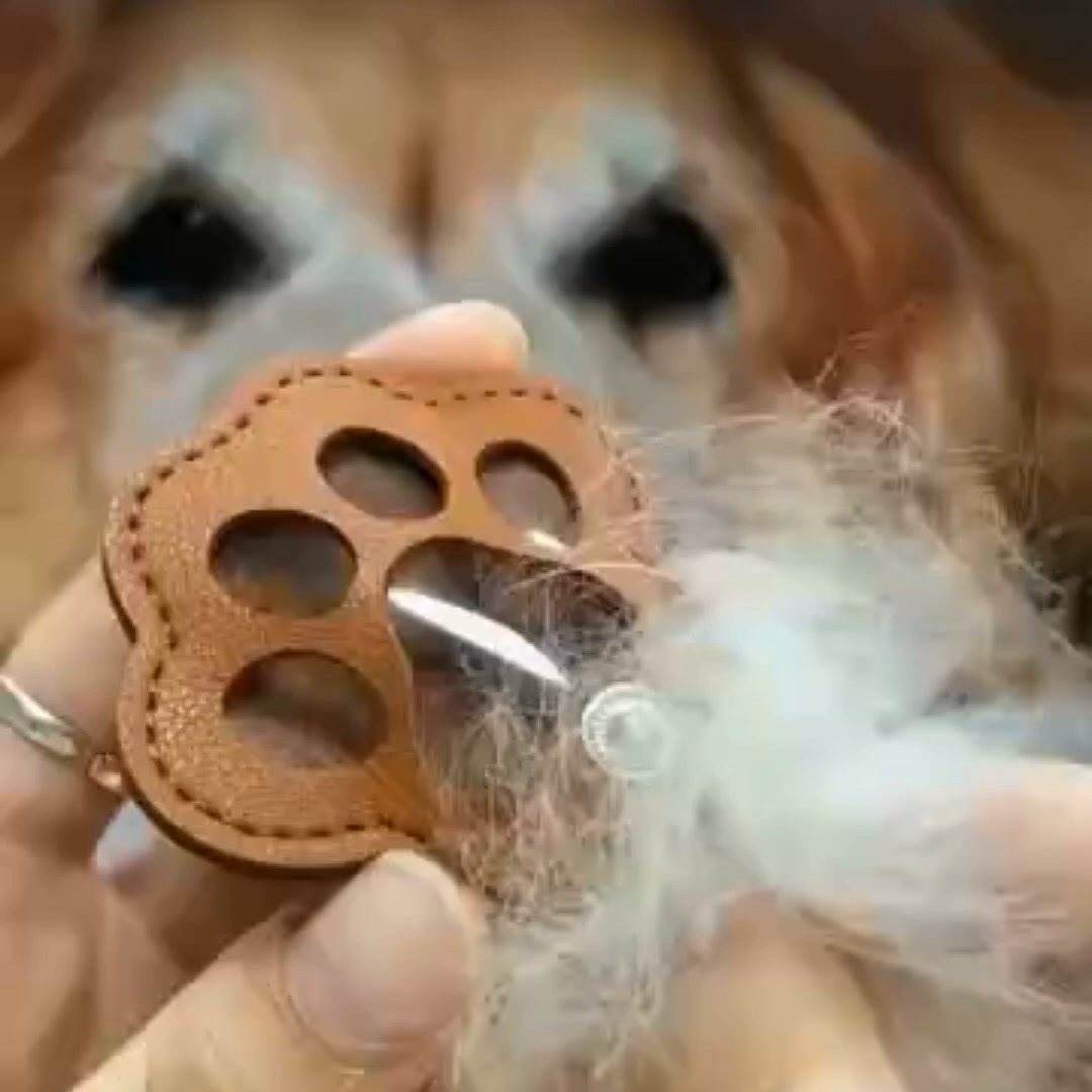 Pet memorial keychain