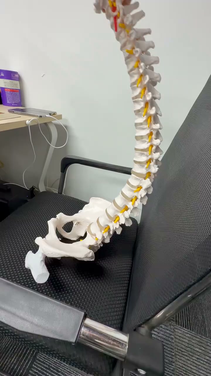 Sit Better Wherever You Go