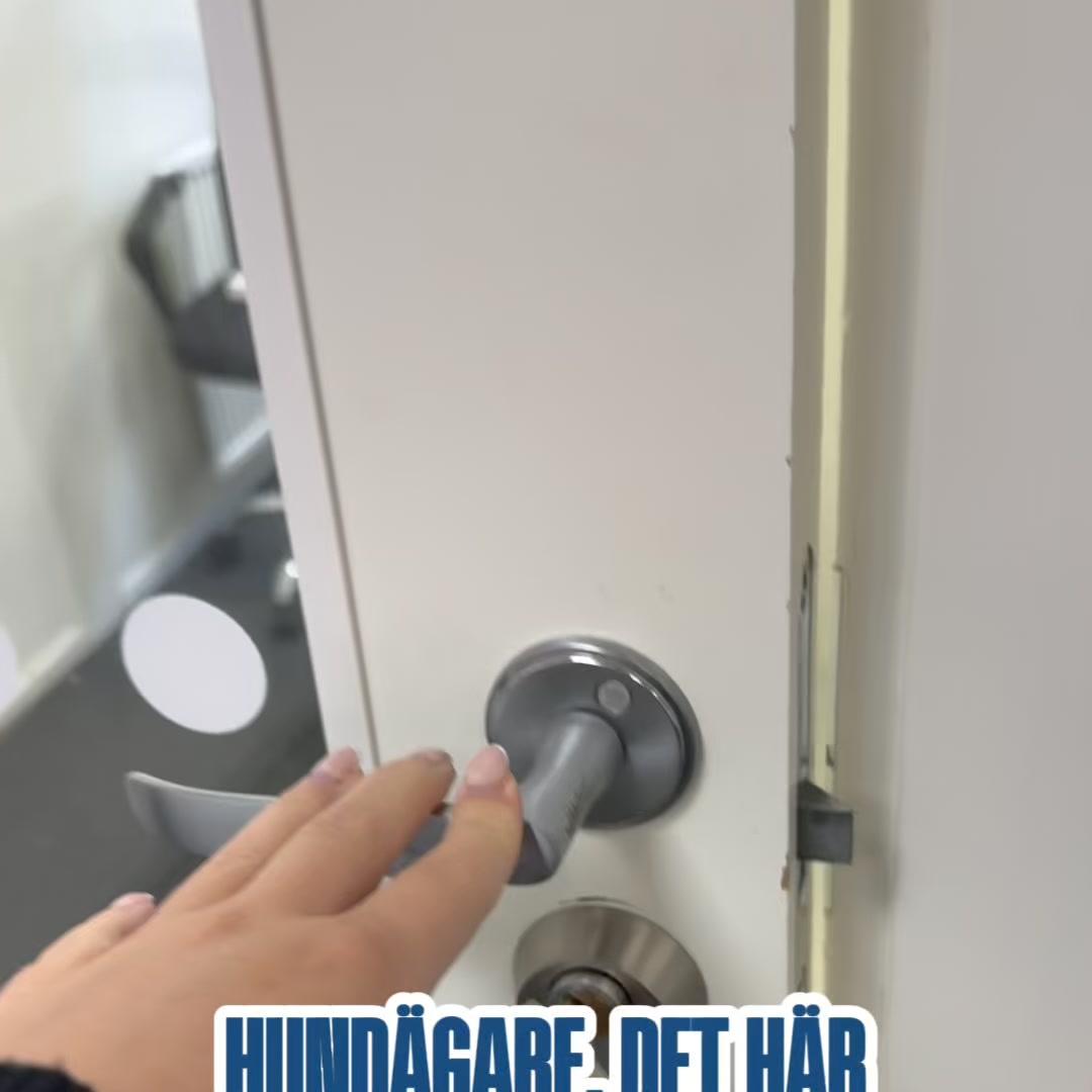 För en lugnare hund