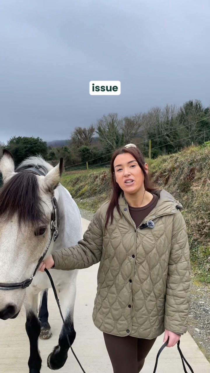 Calm Your Horse Naturally with No More Nerves!