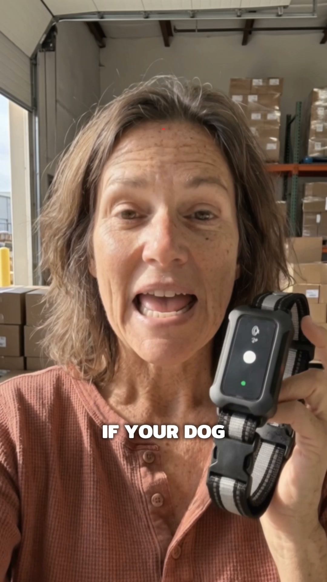 How Dog Trainers Handle Escape Artists