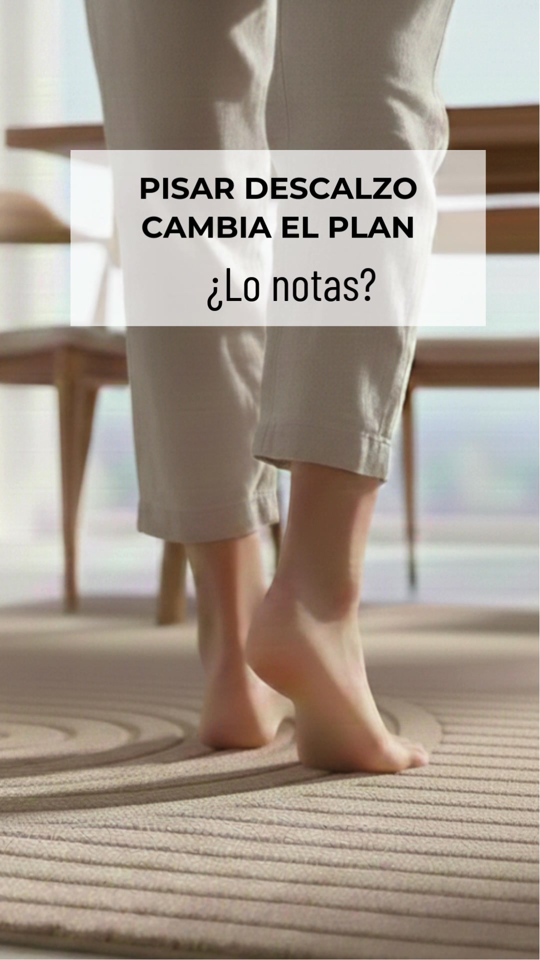 Haz clic y renueva tu hogar