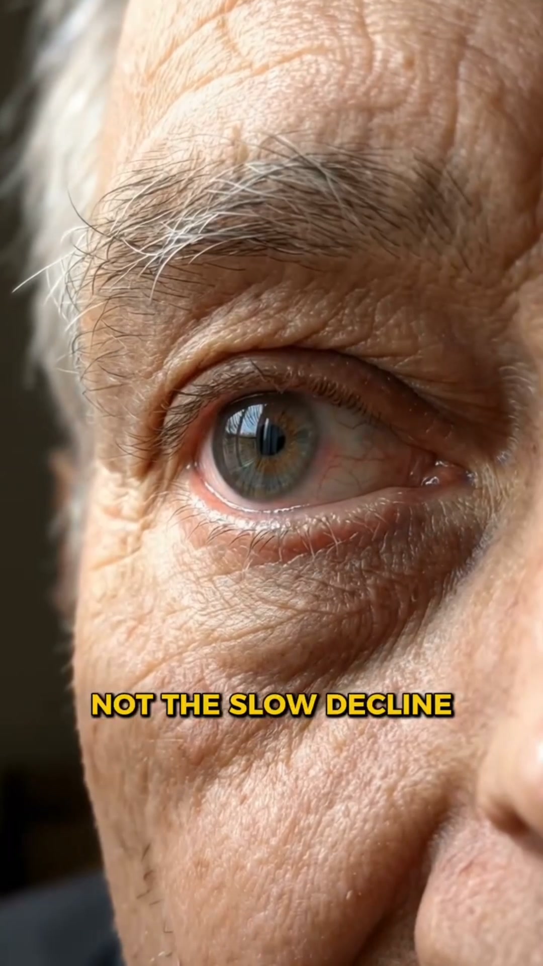 Fight Back Against Macular Degeneration!