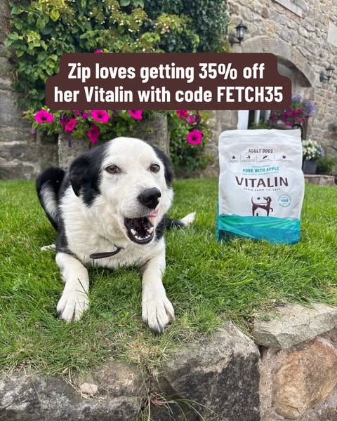 35% Off Everything