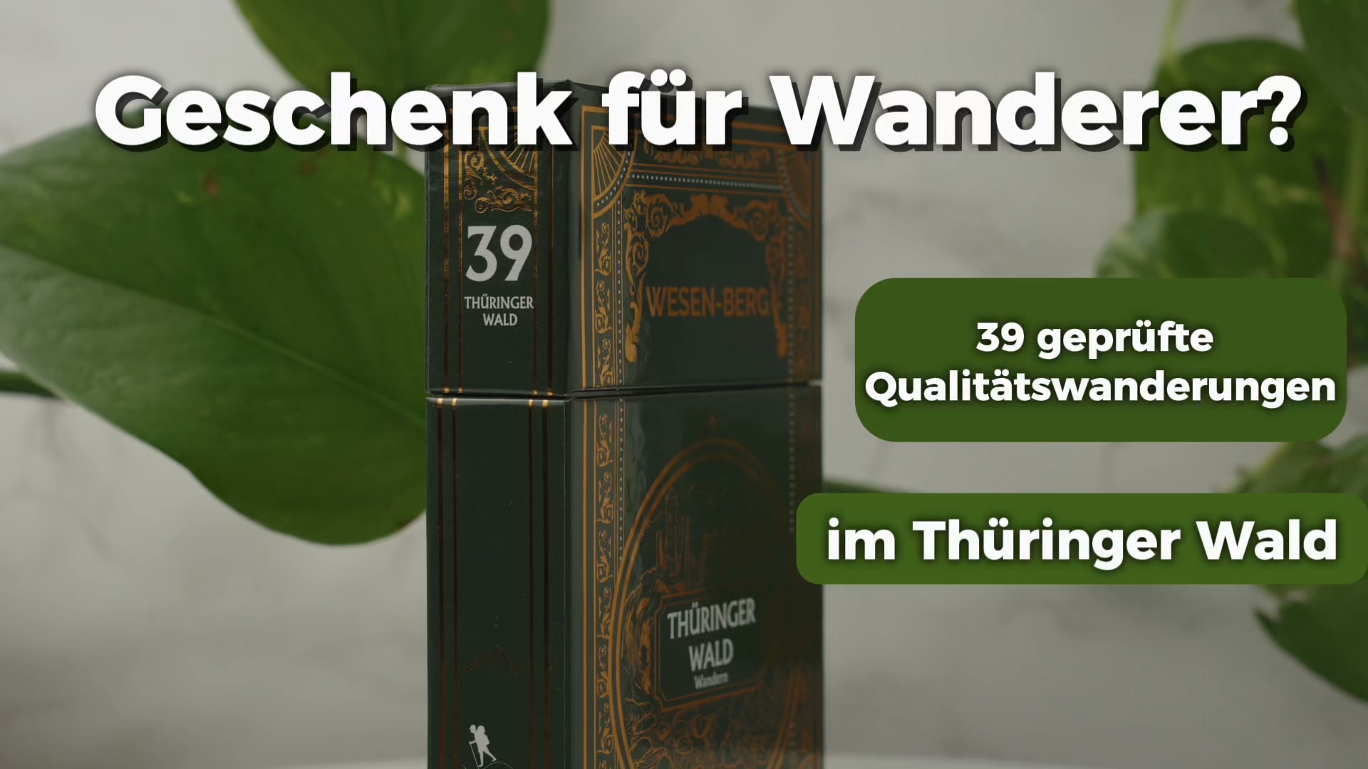 39 Touren, 5 Regionen