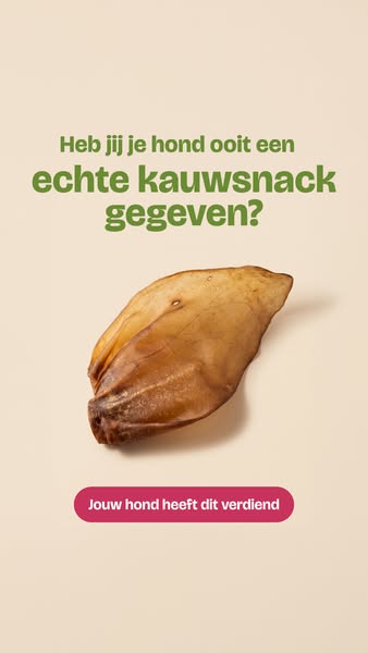 Ontdek de snackbox voor jouw hond