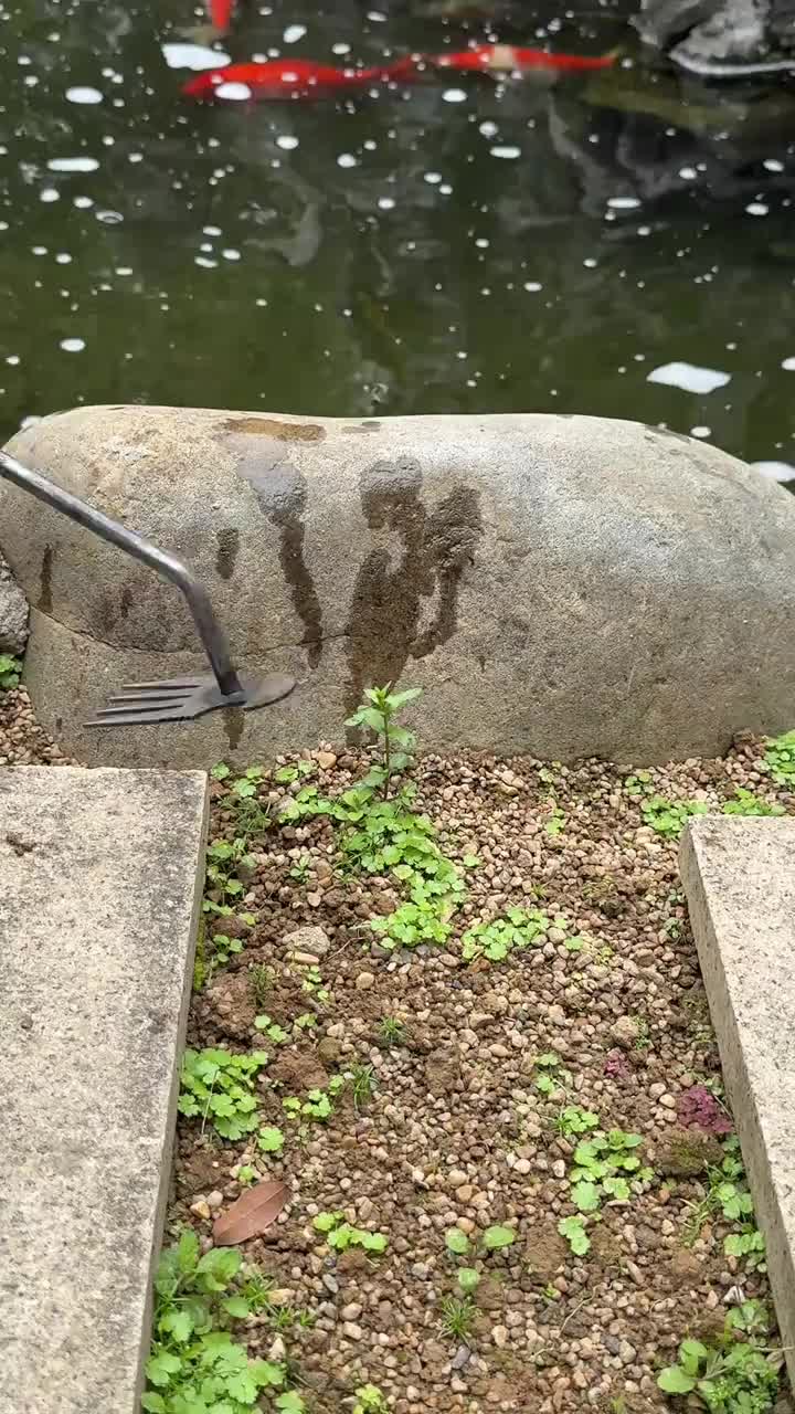 Garden Weed Pulling Tool