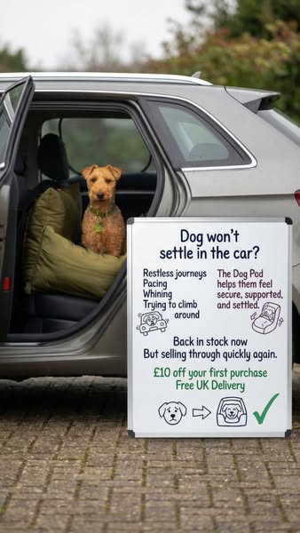 Travel Dog Pod (Now with IsoFix)