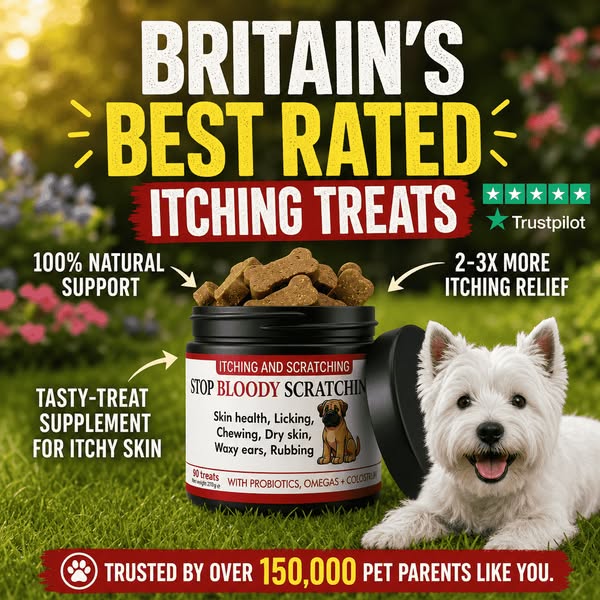 Stop Your Dog’s Itching - 90 Natural Soft Chews