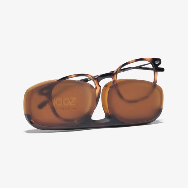 Reading Glasses - Nooz Essential - Alma- Tortoise