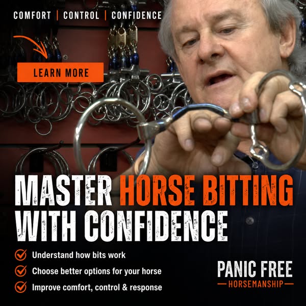 Stop Guessing With Your Horse’s Bit