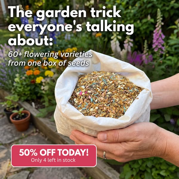 Your garden finally looks alive again