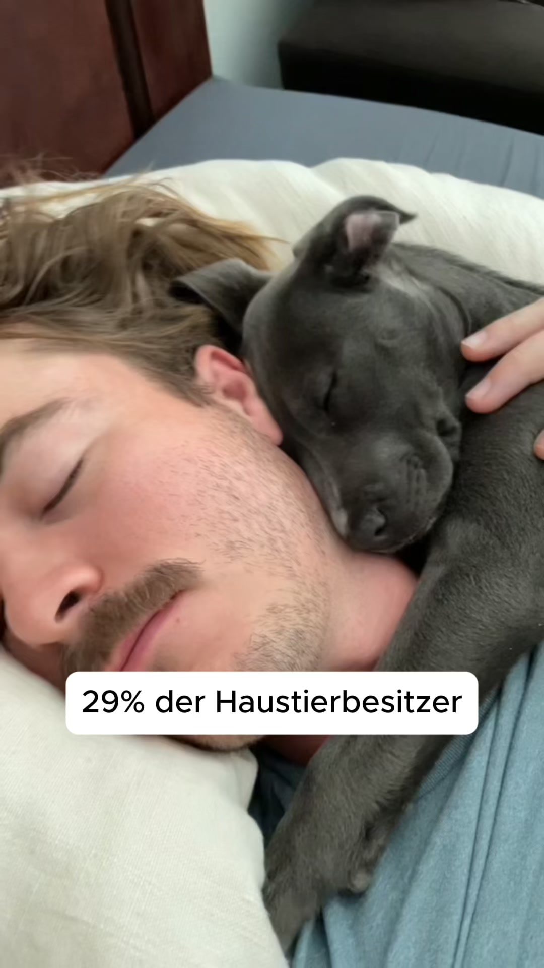 Die 2-in-1 Decke