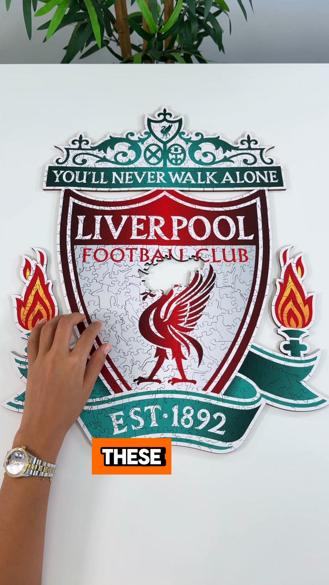 A special gift any fan will love