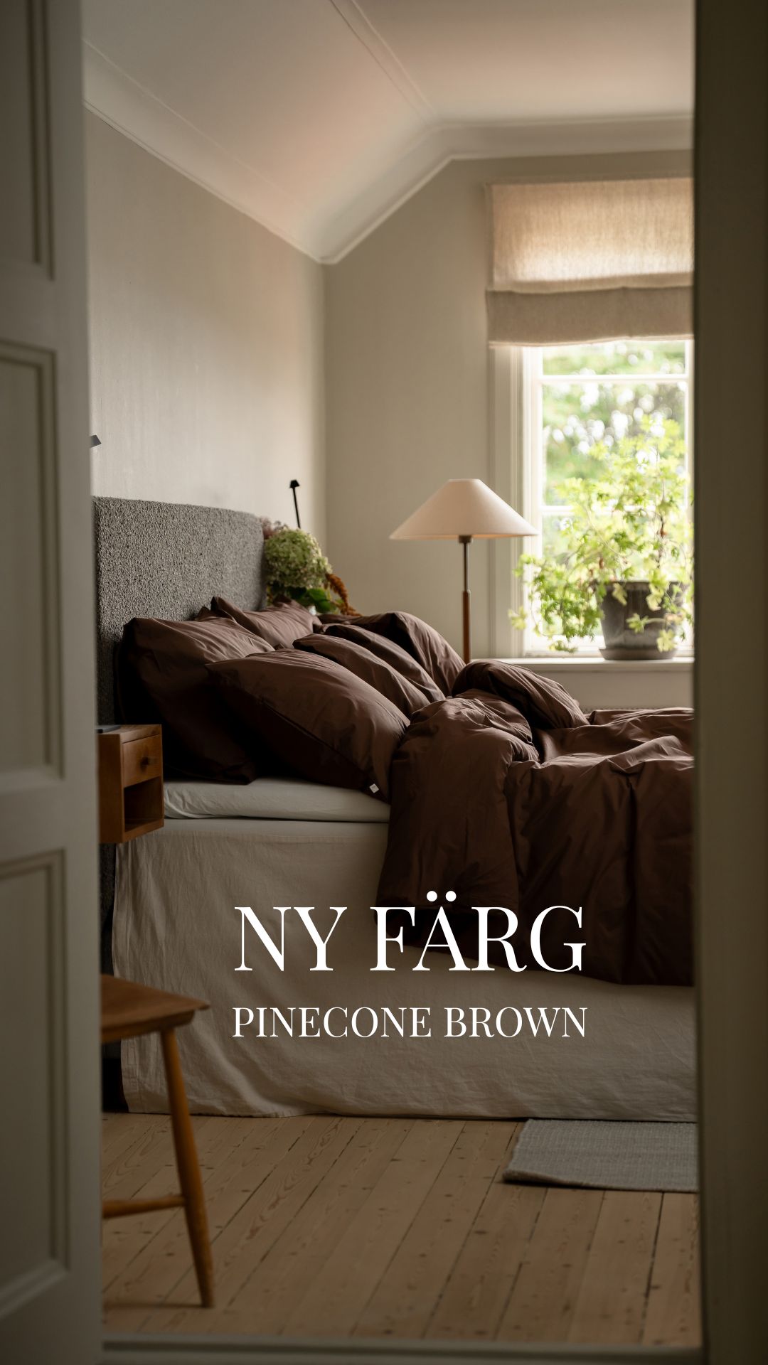 Nyhet: Pinecone Brown