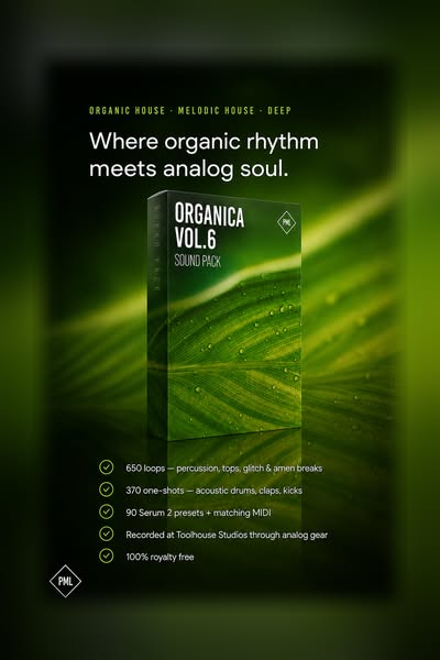 Where Organic Rhythm Meets Analog Soul.