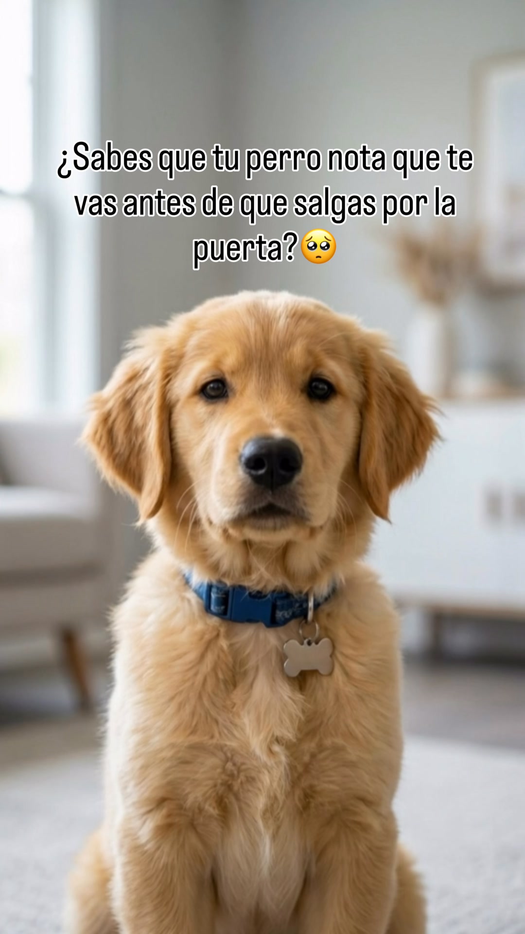 Compañía aunque no estés
