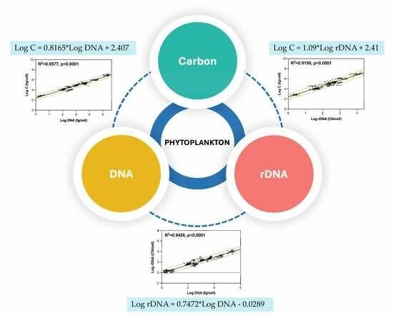 Estimating Carbon Biomass Using DNA: Phytoplankton as a Case Study