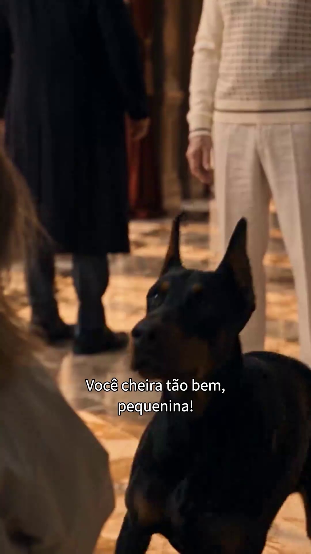 Uma grande história começa aqui