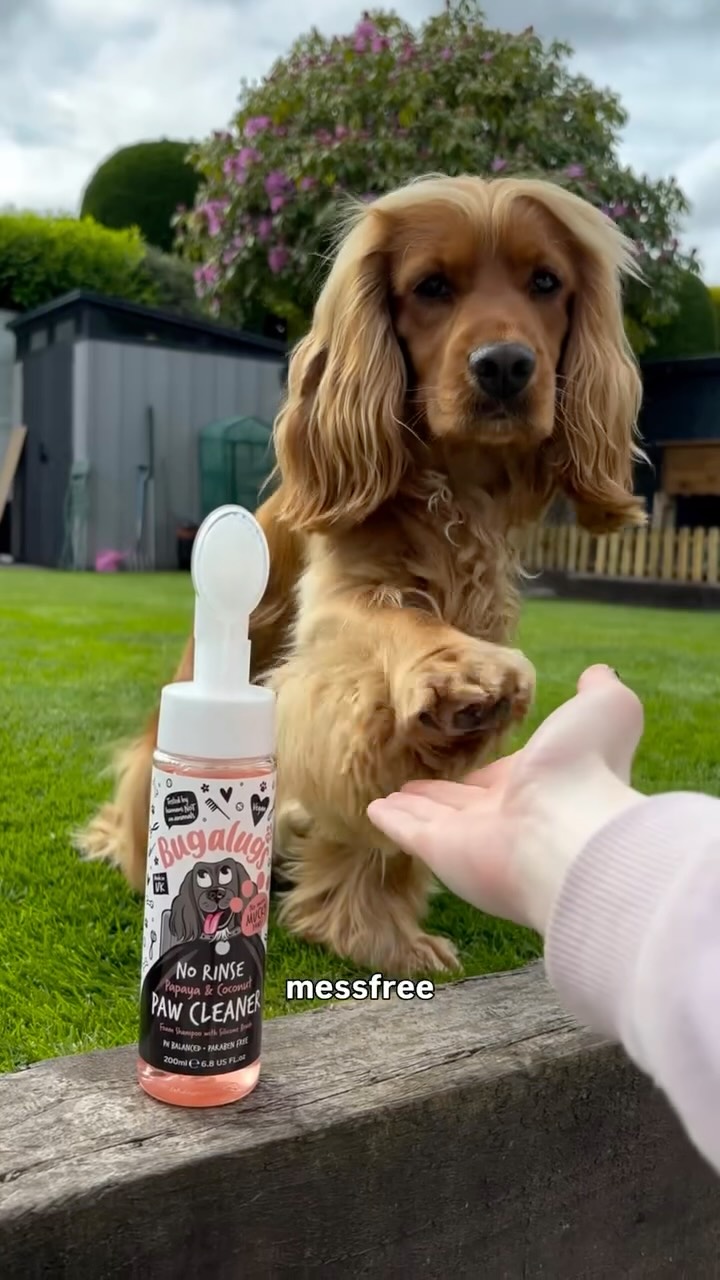 Anúncio de Bugalugs Pet Care
