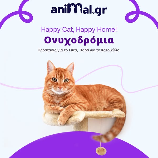 Ονυχοδρόμια για Γάτες