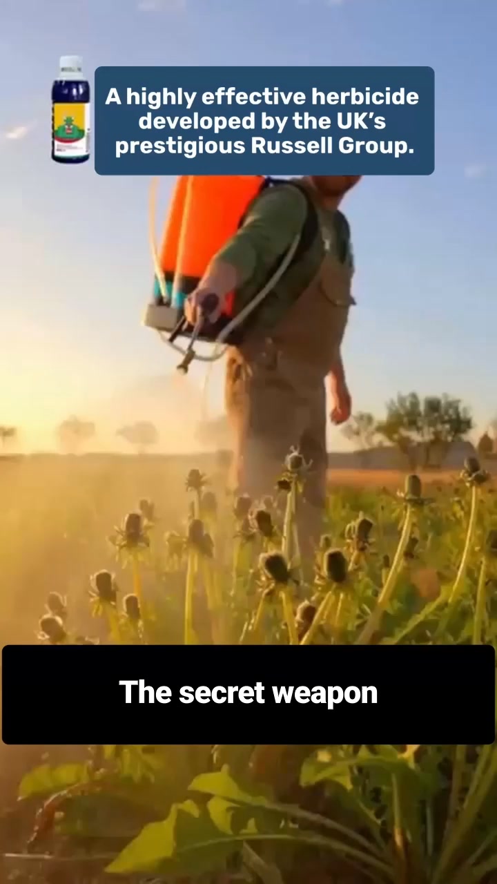 Destroy Stubborn Weeds Within 24 Hours