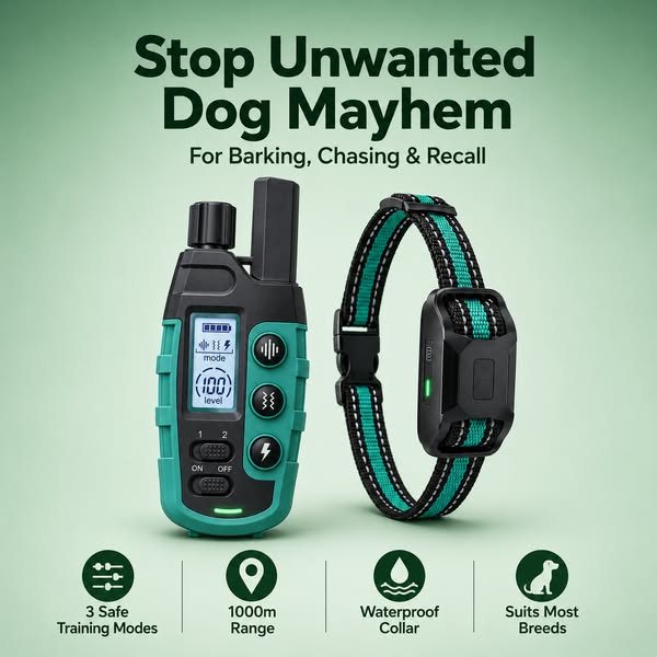 Enhance Your Dog Habits