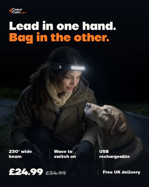 Your evening dog walk, fully lit