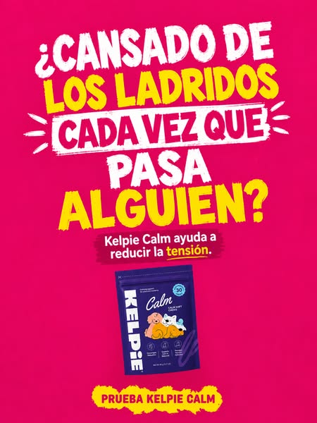 CONSIGUE UN 70% DE DESCUENTO + Envío GRATIS