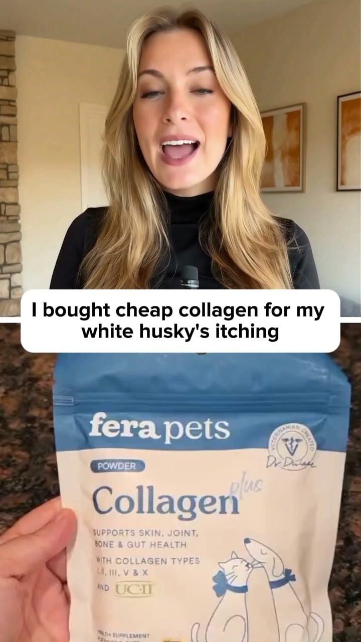 We tested 23 dog grinders.