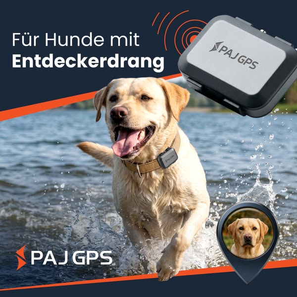 GPS Tracker mit 24/7 Support