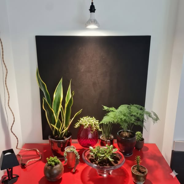 Transform Your Plants in 90 Days