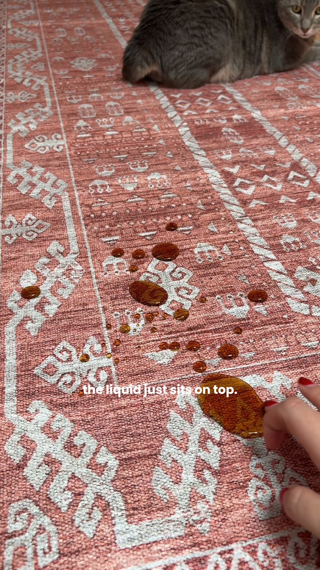 Spillproof & Washable Rugs
