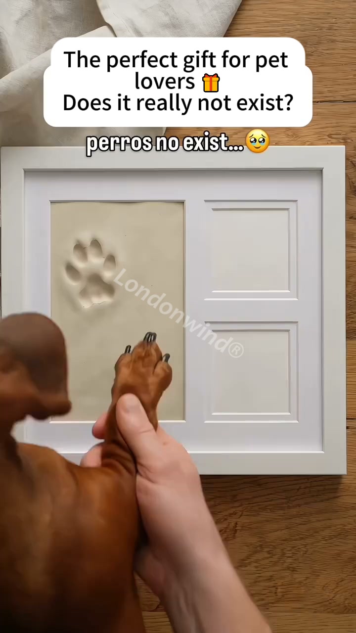 Baby & Pet Footprint Keepsake Frame Kit