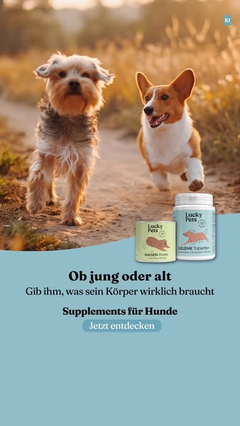 Gelenke sind kein Seniorenthema