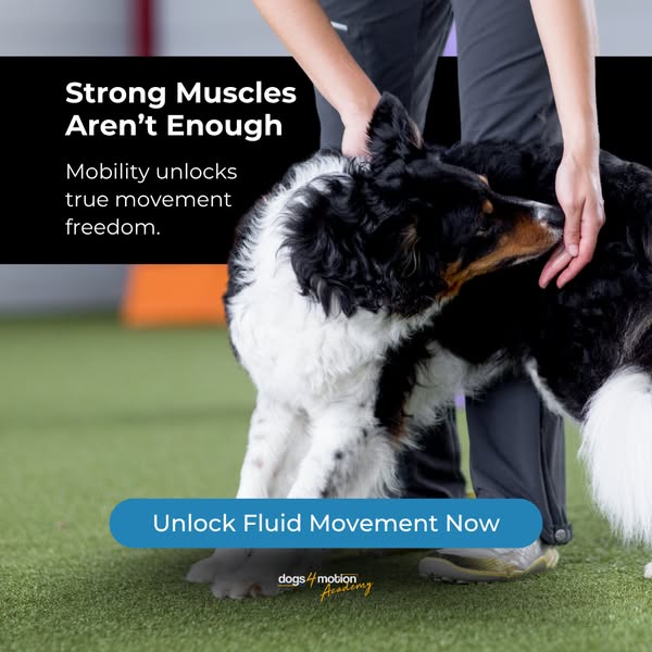 NEW: Mastering Mobility