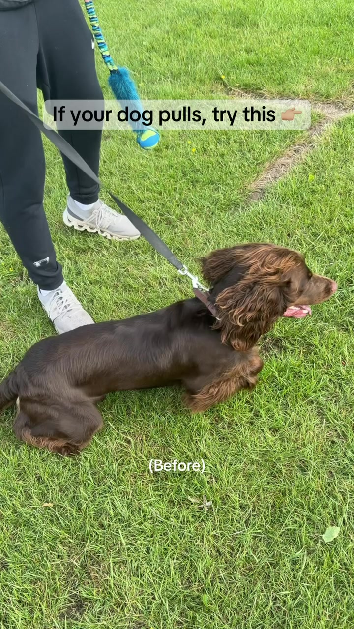 Better Walks Start Here