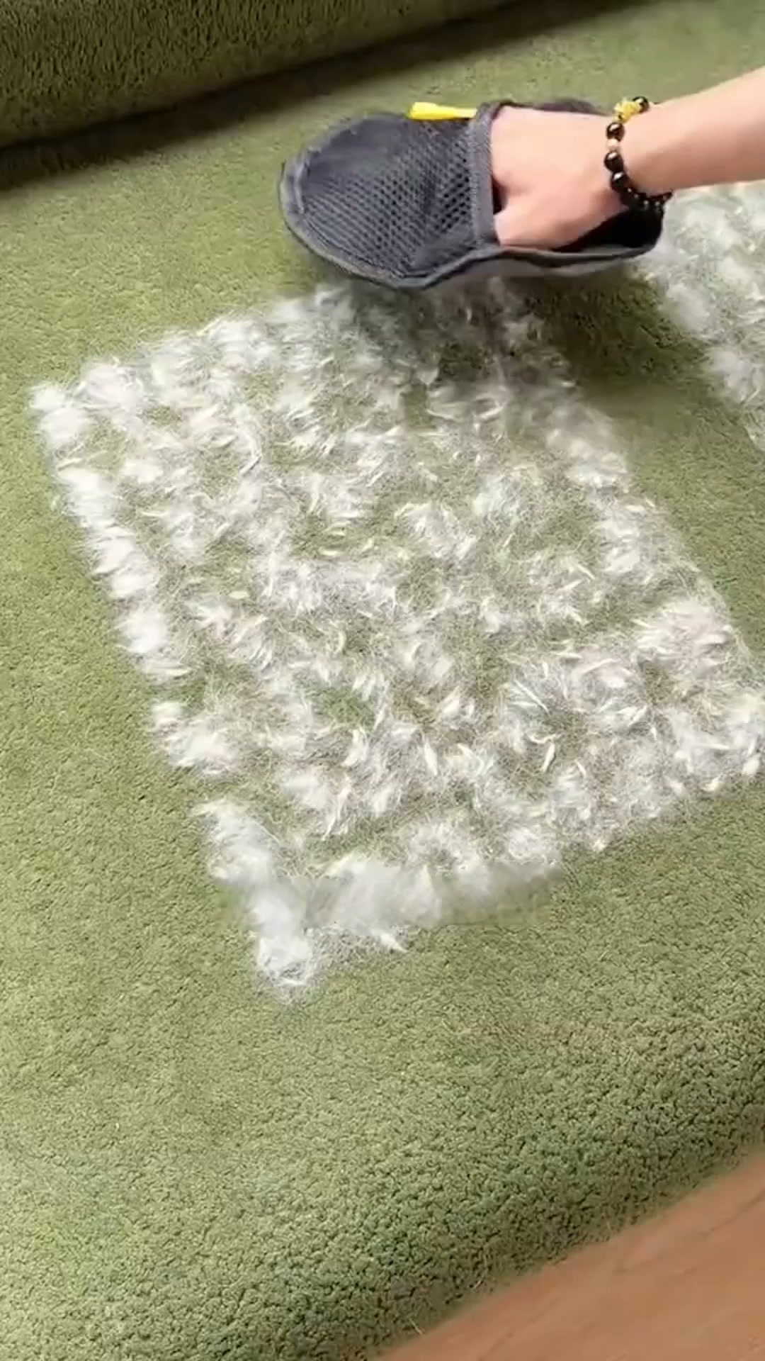 Peli ovunque? Con questo guanto spariscono in un attimo!