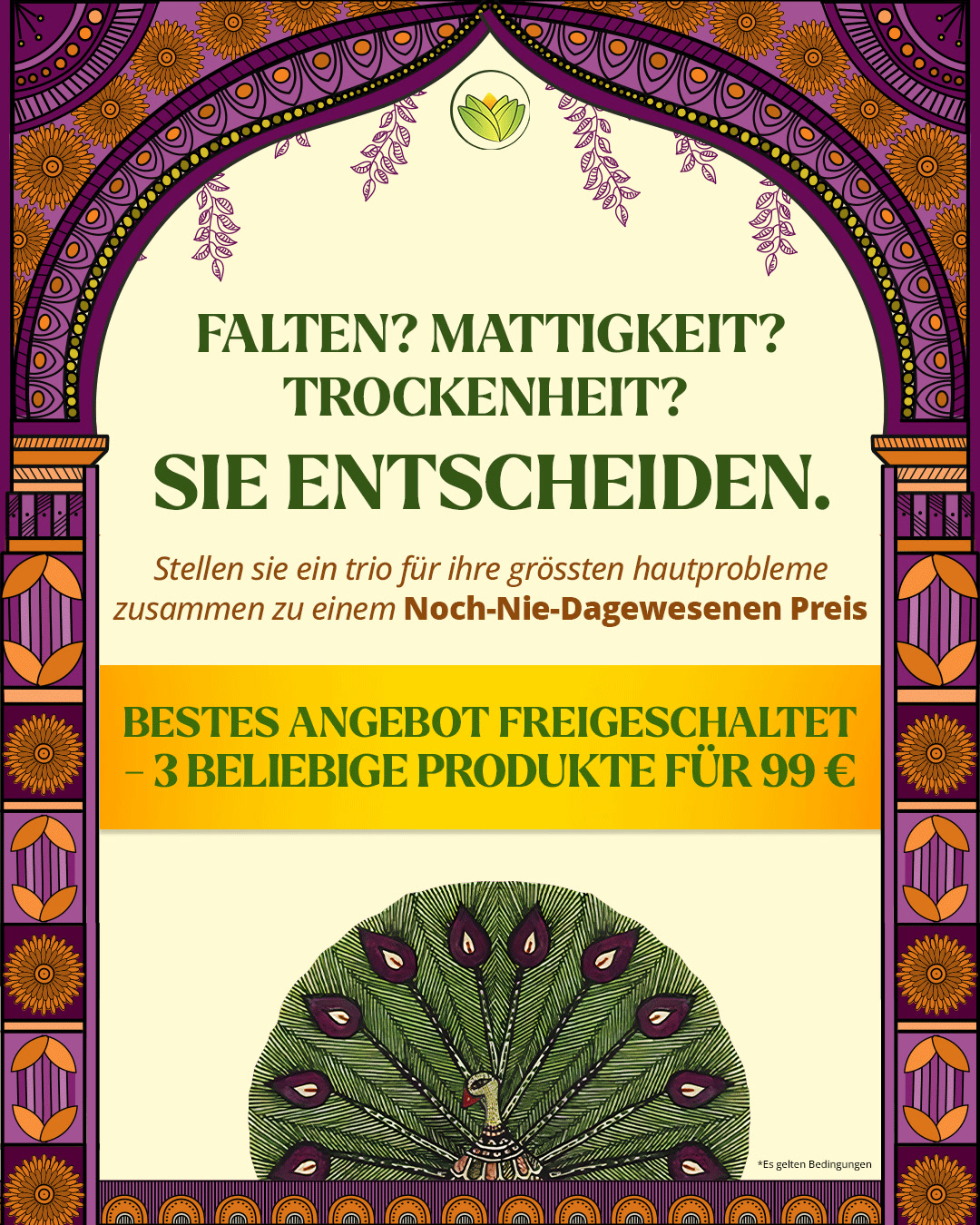 Viral-Favourites zum unschlagbaren Preis