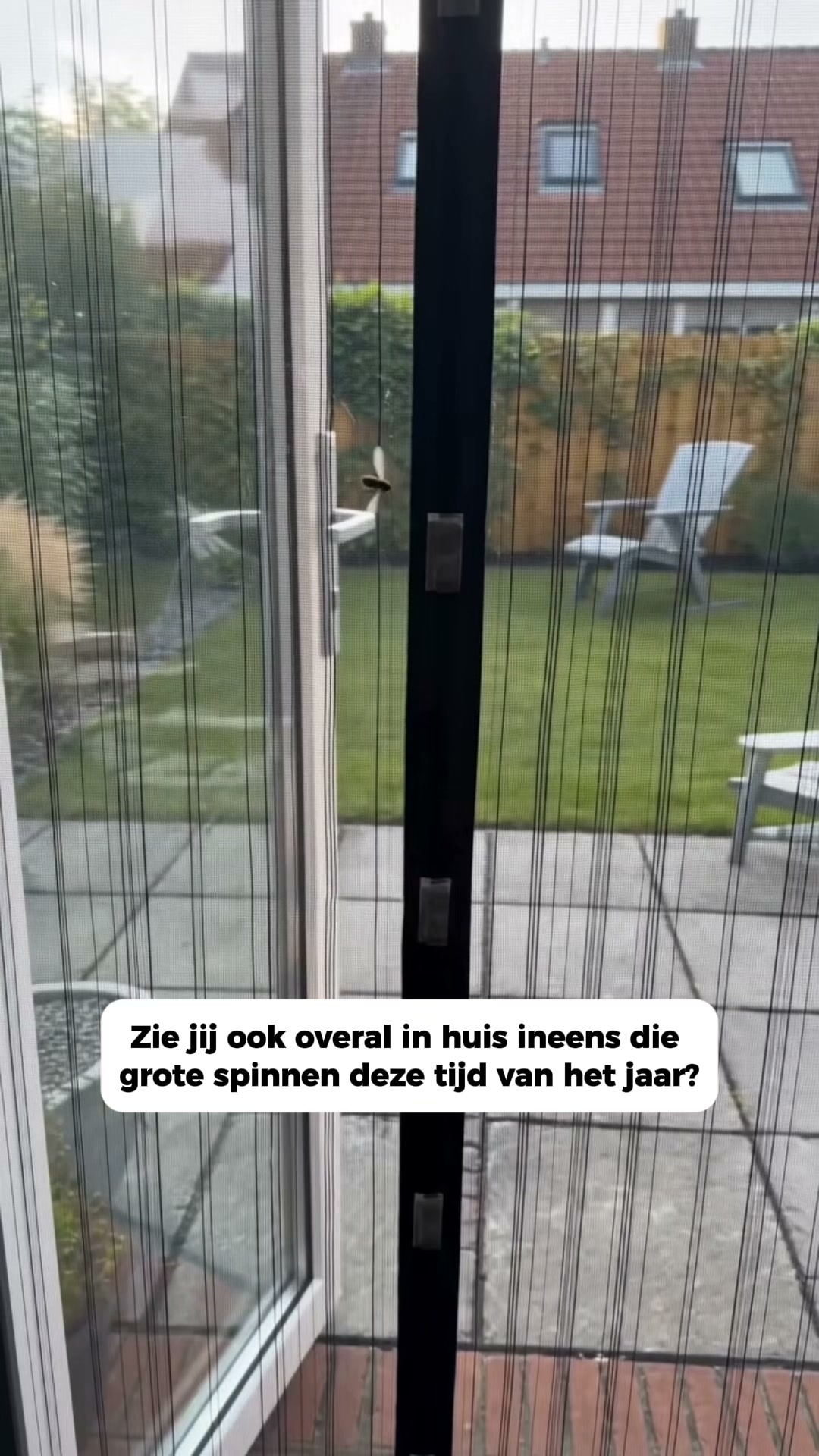 Maak jouw raam insectvrij