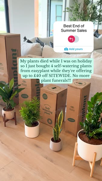 Try Self-Watering Plants