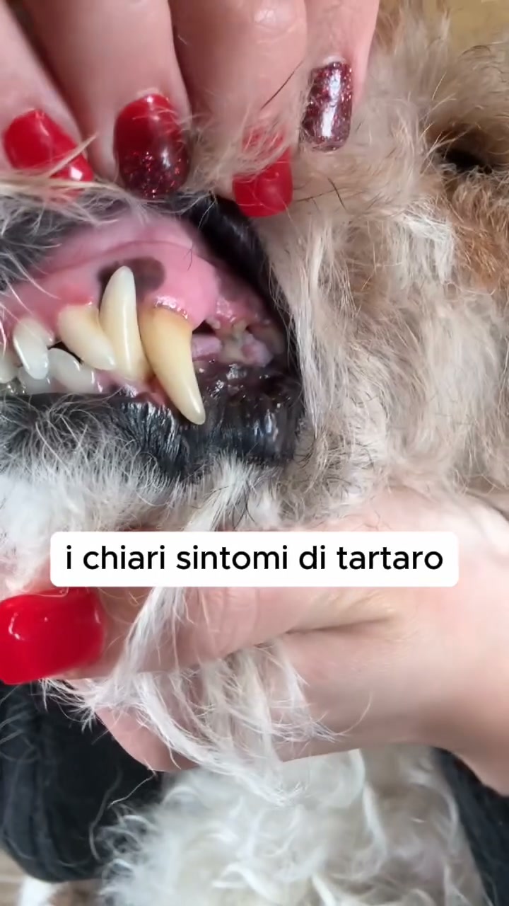 Igiene dentale perfetta, senza sforzo!