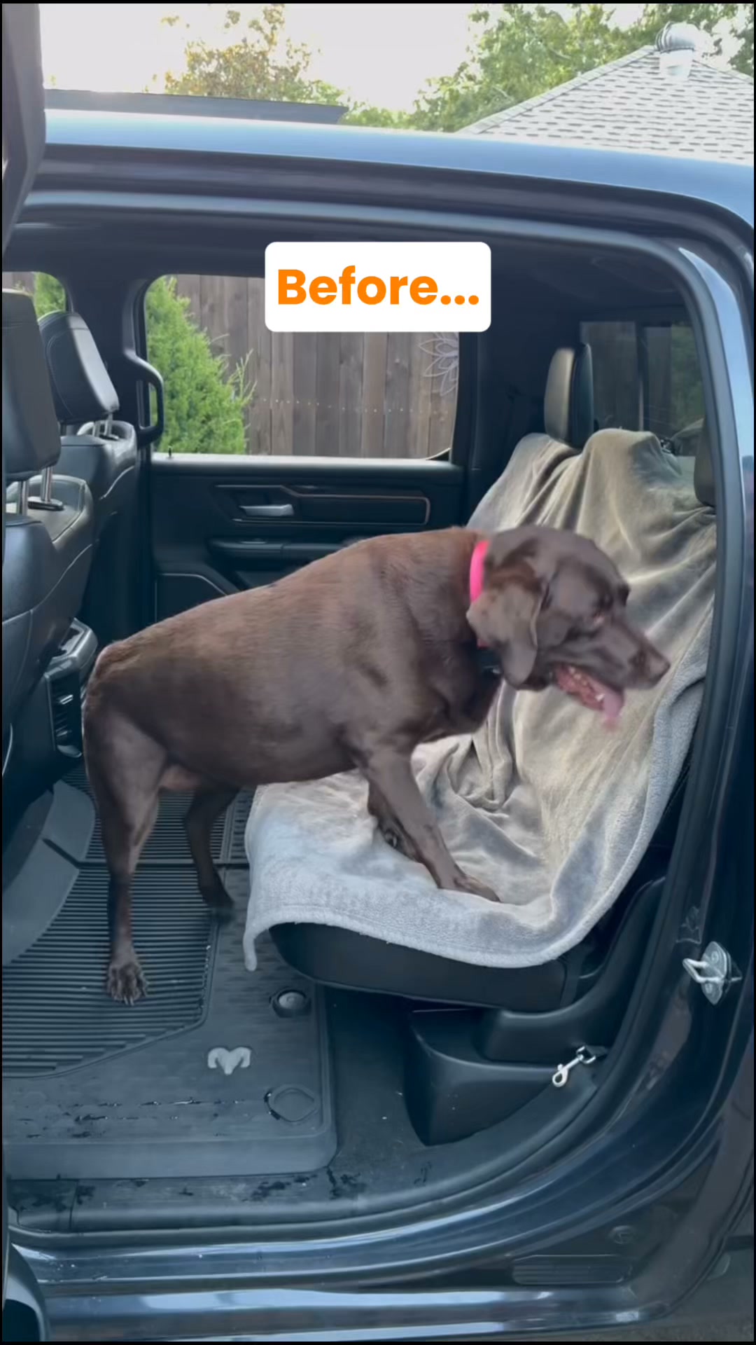 Pawlow Hard Bottom Seat Cover
